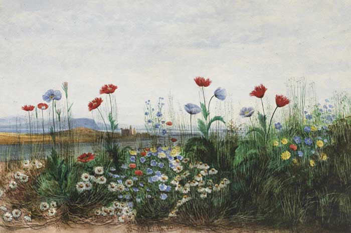 WILD FLOWERS WITH VIEW OF DOE CASTLE BEYOND by Andrew Nicholl RHA (1804-1886) at Whyte's Auctions