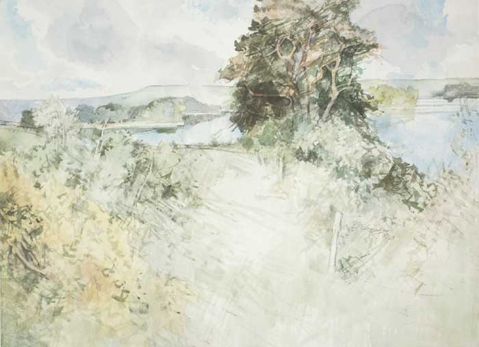 LOUGH ERNE, COUNTY FERMANAGH by Terence P. Flanagan RHA PPRUA (1929-2011) at Whyte's Auctions