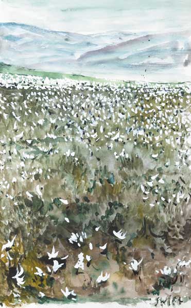 COTTON BOG, WICKLOW by Patrick Swift (1927-1983) (1927-1983) at Whyte's Auctions