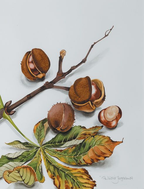 HORSE CHESTNUTS, 2007 by Patricia Jorgensen (b.1936) at Whyte's Auctions