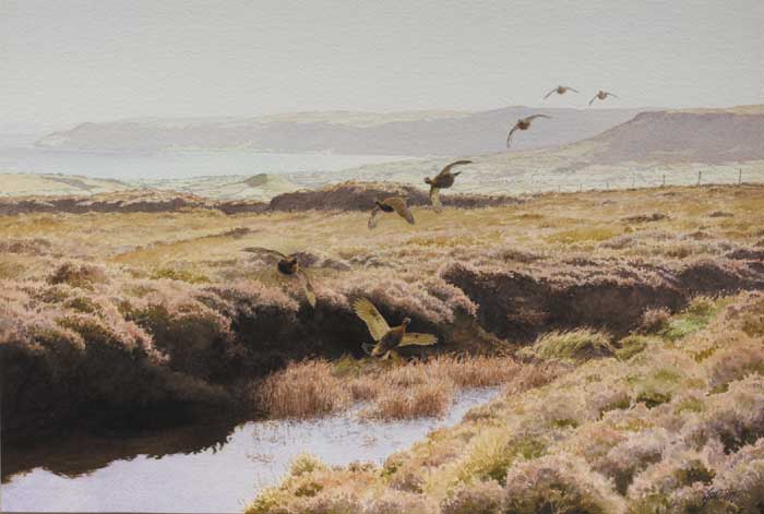THE GROUSE ON GRUIG by Roy Gaston sold for �2,200 at Whyte's Auctions