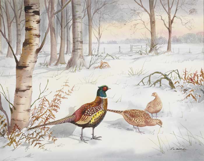PHEASANTS IN THE SNOW by Robert W. Milliken (1920-2014) at Whyte's Auctions