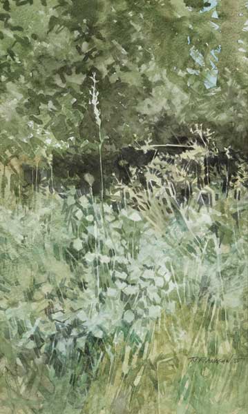 CORNER OF A GARDEN, 1985 by Terence P. Flanagan RHA PPRUA (1929-2011) at Whyte's Auctions