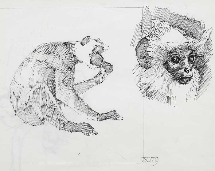 MONKEY (STUDY FOR CEILING OF GRAND OPERA HOUSE), 1979 by Cherith McKinstry HRHA (1928-2004) HRHA (1928-2004) at Whyte's Auctions