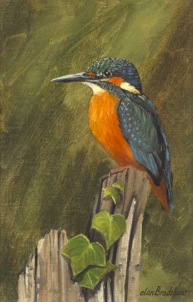 KINGFISHER by Alan Bradshaw sold for �200 at Whyte's Auctions