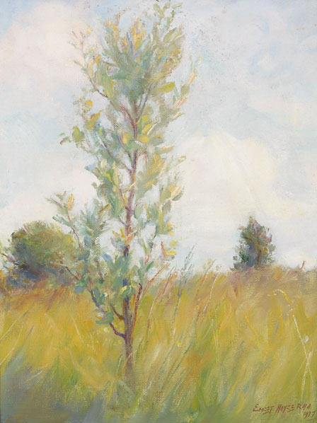 YOUNG TREE, 1977 by Ernest Columba Hayes RHA (1914-1978) RHA (1914-1978) at Whyte's Auctions