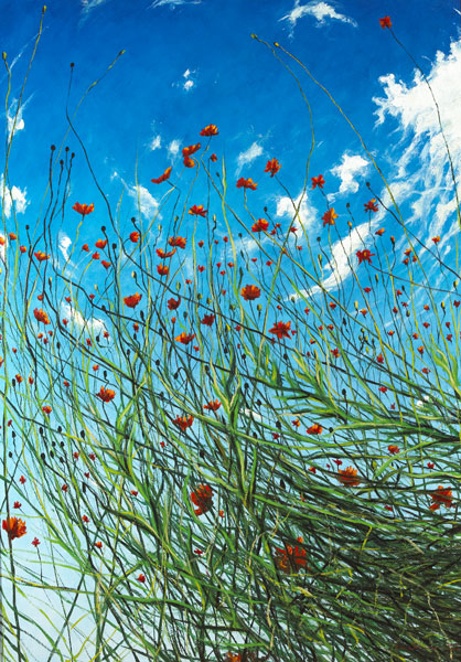 POPPIES, 2008 by Rasher (Mark Kavanagh) (b.1977) at Whyte's Auctions