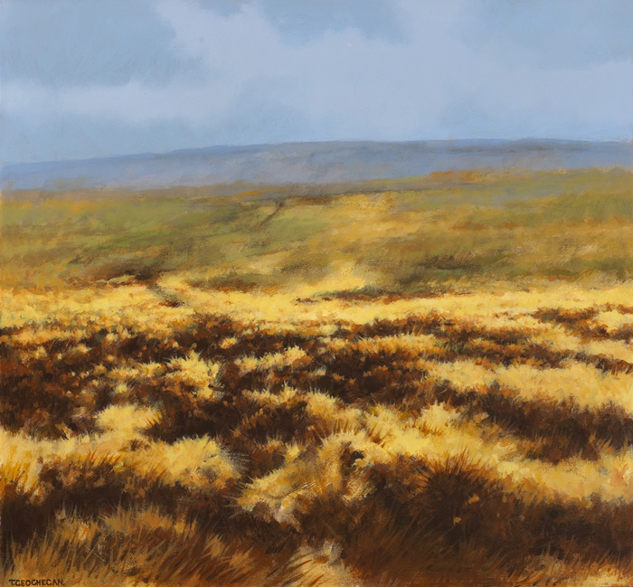 LOOKING SOUTH, 1992 by Trevor Geoghegan (b.1946) at Whyte's Auctions