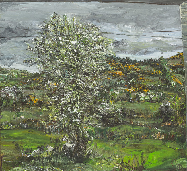 WHITETHORN FIELD WITH SHEEP, 2000 by Nick Miller (b.1962) at Whyte's Auctions