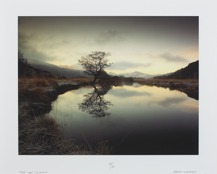 TREE LAKE, COUNTY KERRY by Eoghan Kavanagh  at Whyte's Auctions