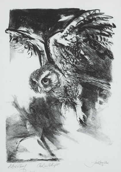 OWL IN FLIGHT, 1978 by Jack Coughlin (b.1932) at Whyte's Auctions