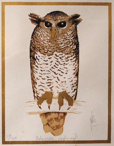 MALAYSIAN EAGLE-OWL and LONG EARRED OWL (A PAIR) by Christine Nason  at Whyte's Auctions
