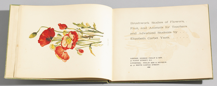 BRUSH-WORK STUDIES OF FLOWERS, FRUIT AND ANIMALS by Elizabeth ('Lolly') Corbet Yeats sold for 460 at Whyte's Auctions