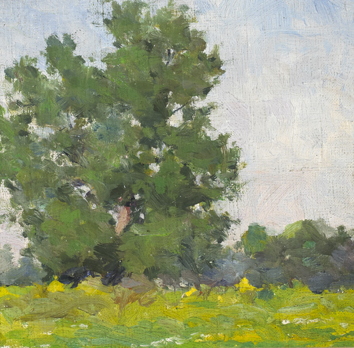 TREES STUDY, SUMMERTIME by Michael Healy (1873-1941) (1873-1941) at Whyte's Auctions