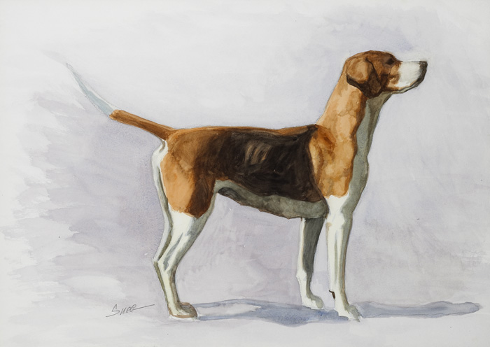 HOUND by Desmond Snee sold for 380 at Whyte's Auctions