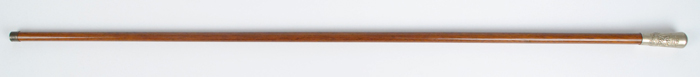 1914-18: Royal Irish Fusiliers Swagger Stick at Whyte's Auctions