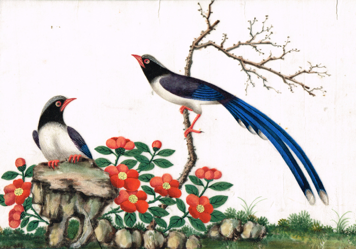 19th Century: Chinese watercolour paintings of exotic birds at Whyte's Auctions