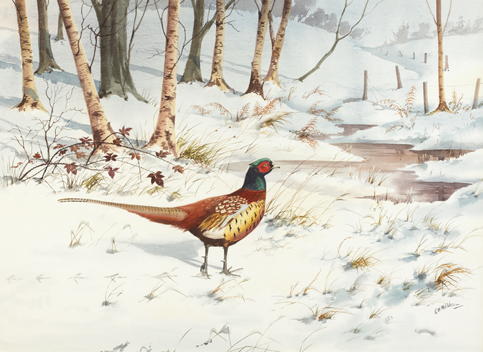 PHEASANT IN WINTER by Robert W. Milliken (1920-2014) at Whyte's Auctions