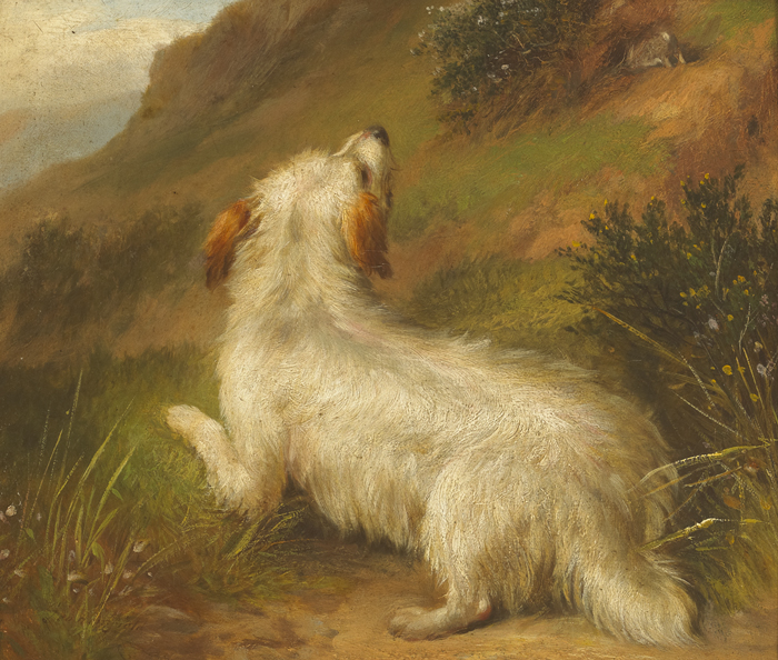 TERRIER and RETRIEVERS (A PAIR) by George Armfield (c.1808-1893) at Whyte's Auctions