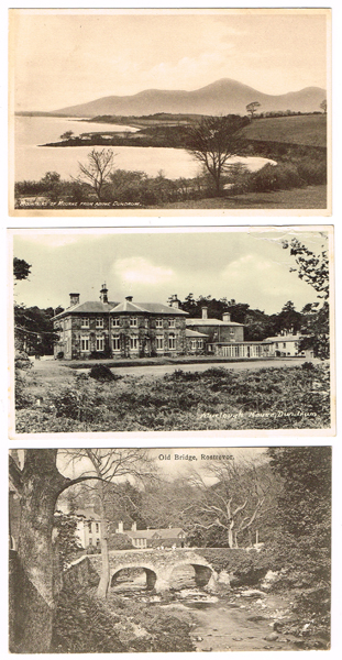 20th Century: Collection of Down, Derry, Armagh & Tyrone topographical postcards at Whyte's Auctions