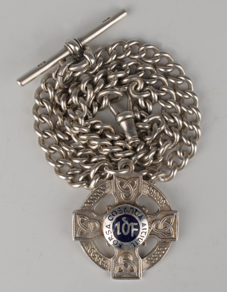 1945: Local Defence Forces enamel medal at Whyte's Auctions