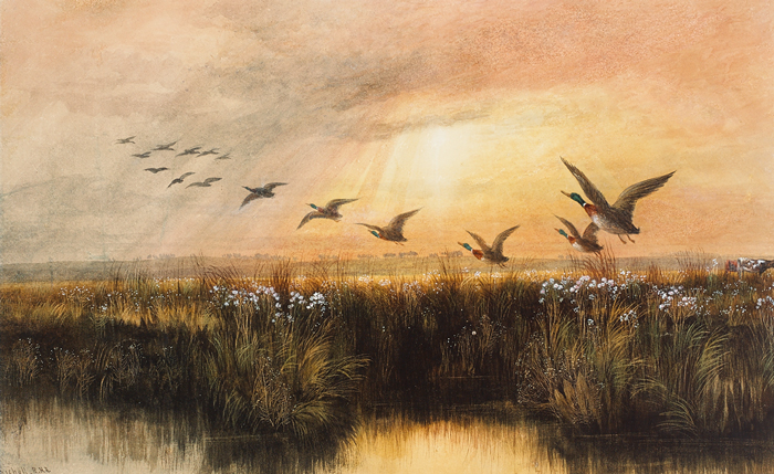 MALLARDS IN FLIGHT by Andrew Nicholl RHA (1804-1886) at Whyte's Auctions