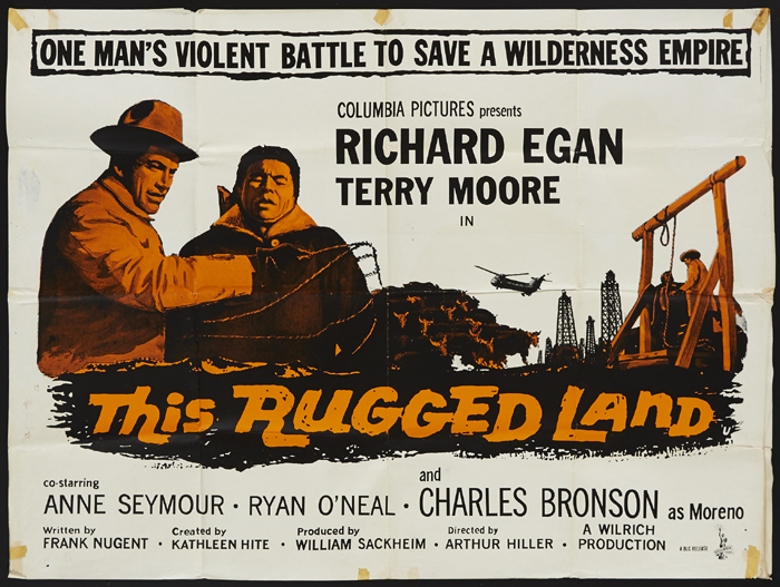 This Rugged Land at Whyte's Auctions