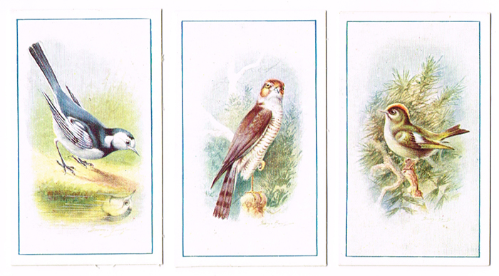 A collection of Irish & British cigarette cards. at Whyte's Auctions