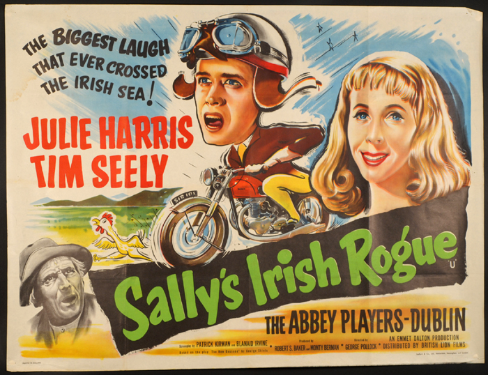 Sally's Irish Rogue at Whyte's Auctions