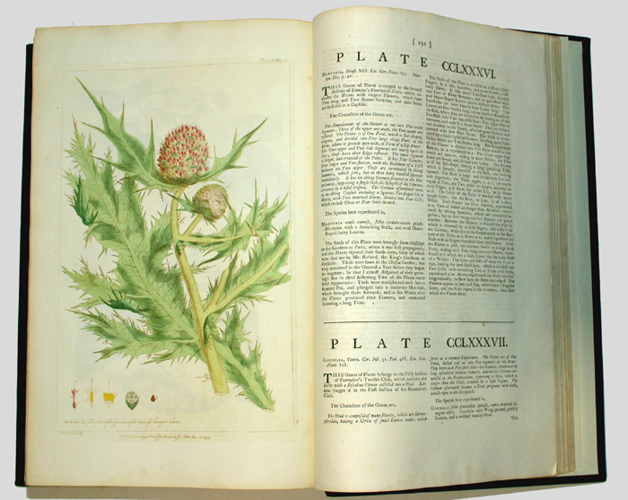 Figures Of The Most Beautiful, Useful, and Uncommon Plants.... by Philip Miller FRS, at Whyte's Auctions
