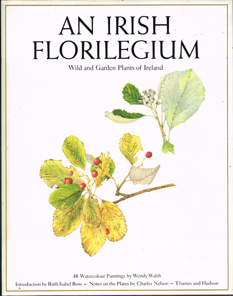 Walsh, Wendy. An Irish Florilegium at Whyte's Auctions