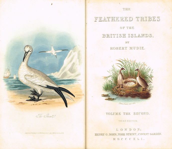 Mudie, Robert. The Feathered Tribes of the British Isles at Whyte's Auctions