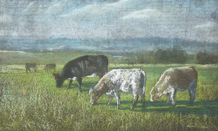 CATTLE IN A FIELD by Robert Taylor Carson HRUA (1919-2008) at Whyte's Auctions