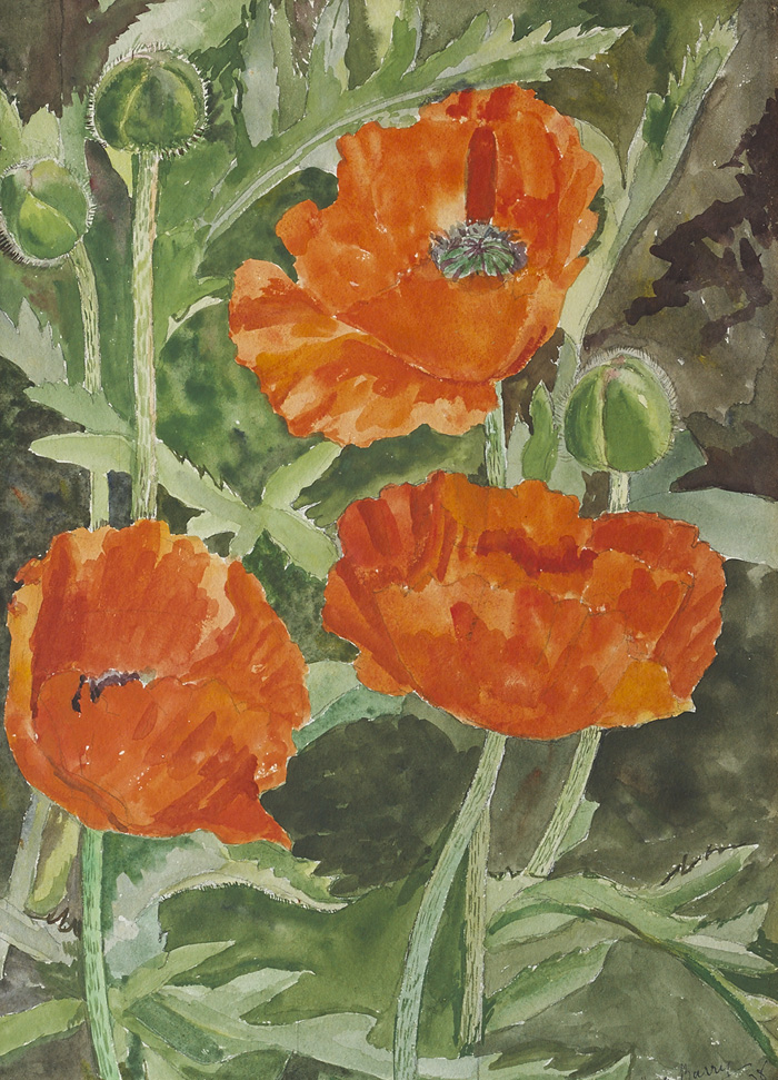 POPPIES, 1938 by Moyra Barry sold for �290 at Whyte's Auctions