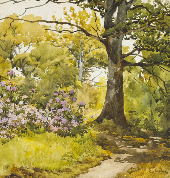 HAZELMERE by Helen Colvill sold for 620 at Whyte's Auctions