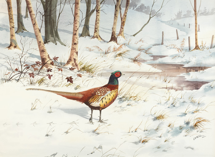 PHEASANT IN WINTER by Robert W. Milliken (1920-2014) (1920-2014) at Whyte's Auctions