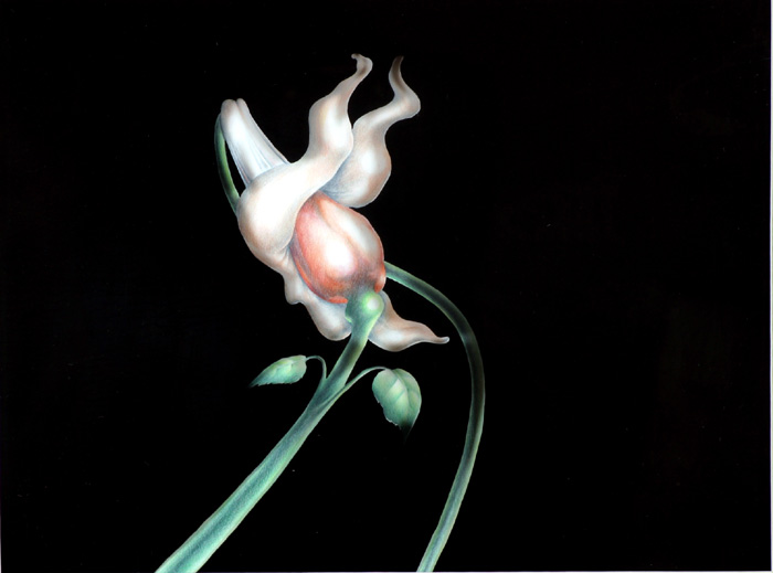 Pink Floyd, 'The Wall', Animation cell by Gerald Scarfe at Whyte's Auctions