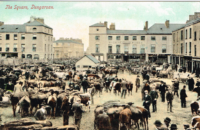 Co. Waterford postcards (52) at Whyte's Auctions
