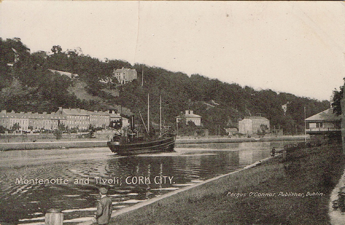 Cork City postcards (33) at Whyte's Auctions