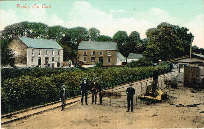 Co. Cork Postcards (47) at Whyte's Auctions