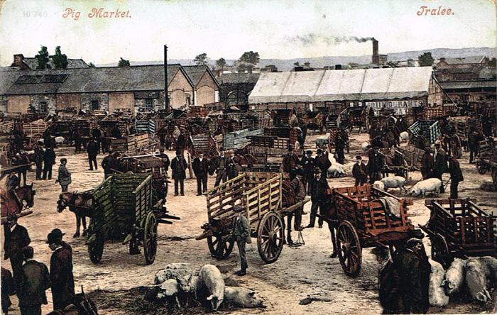 Co. Kerry postcards (24) at Whyte's Auctions