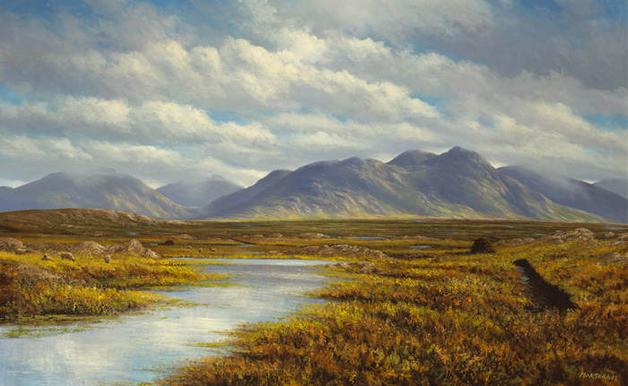 ROUNDSTONE BOG, 1996 by Gerry Marjoram (b.1936) at Whyte's Auctions