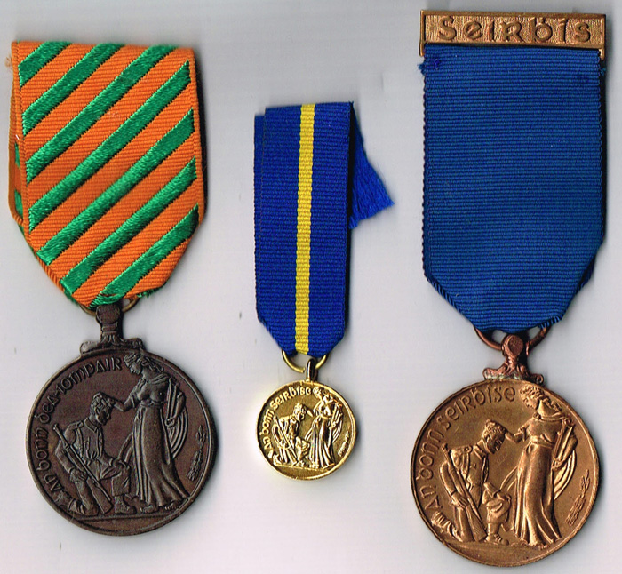 Irish Defence Forces Good Conduct and Service medals. at Whyte's Auctions