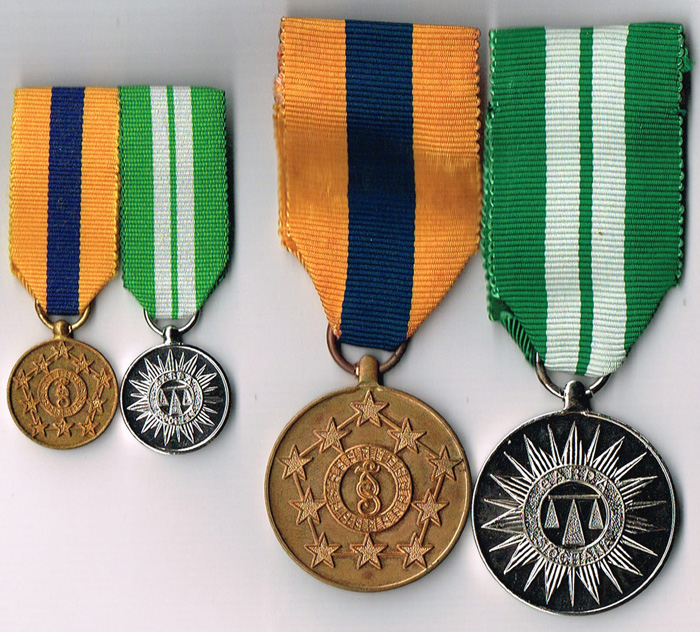 Garda Siochana pair of medals and miniatures. at Whyte's Auctions