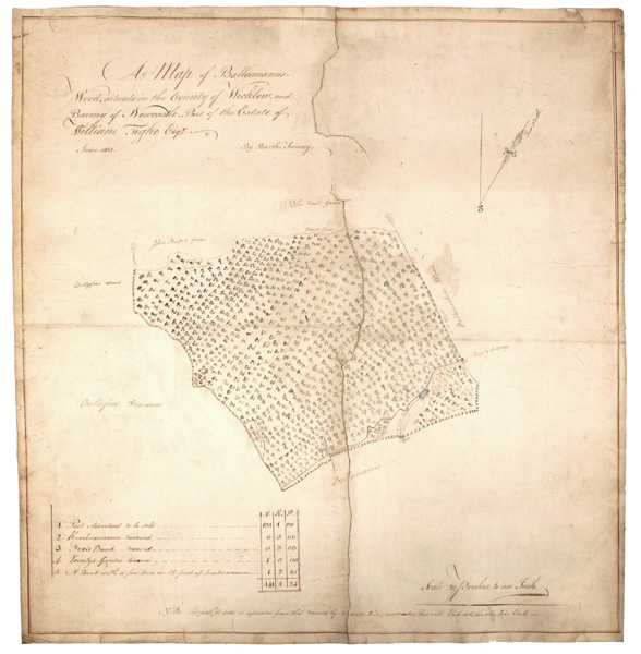 1811 (June). Map of Ballamanus Wood, County Wicklow, in the Rosanna Estate of William Tighe. at Whyte's Auctions