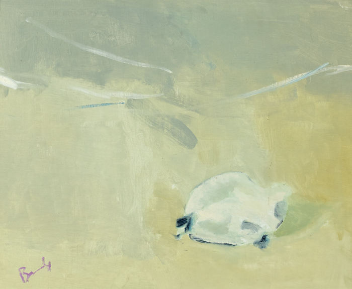 OYSTER SHELL, 1994 by Charles Brady HRHA (1926-1997) at Whyte's Auctions