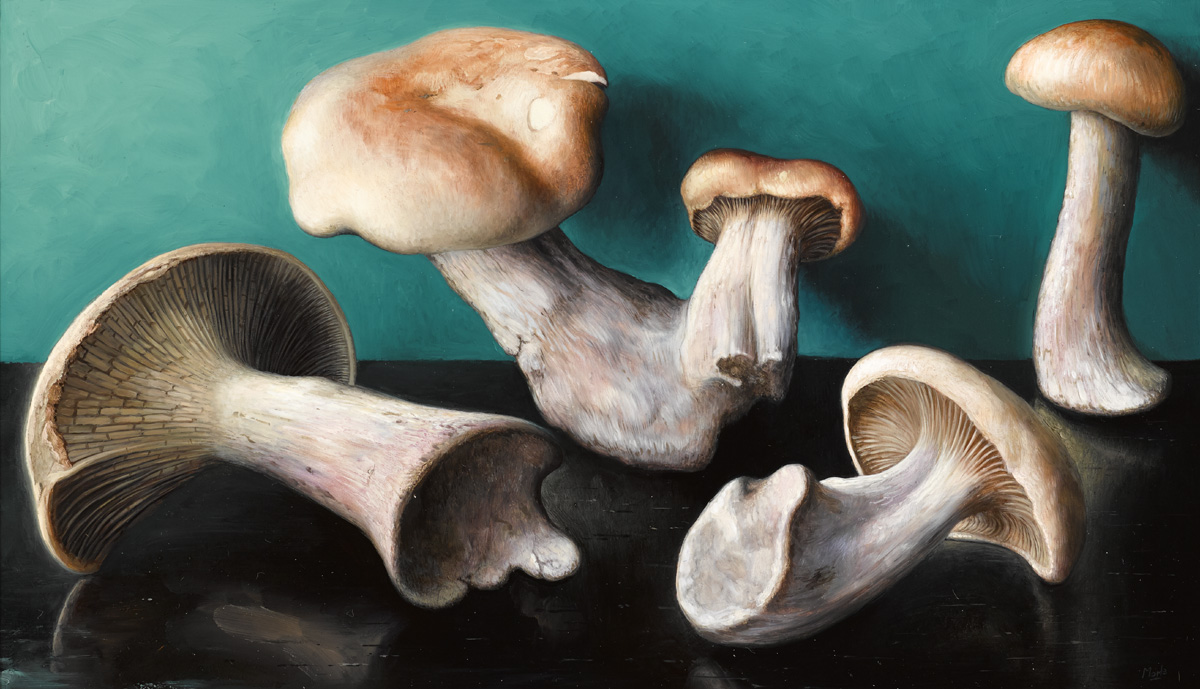 MUSHROOMS by Stuart Morle (b.1960) at Whyte's Auctions