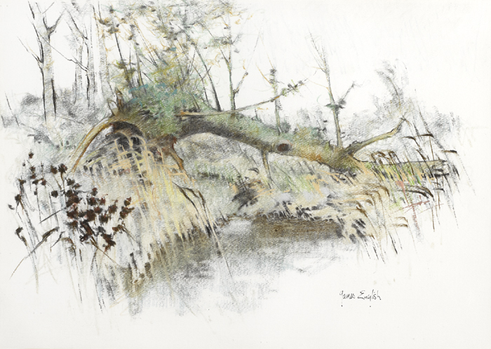 ABOVE THE BROOK and THE UPROOTED TREE, 1985 (A PAIR) by James English RHA (b.1946) at Whyte's Auctions