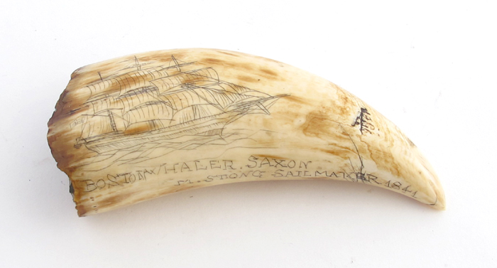 Scrimshaw
 at Whyte's Auctions