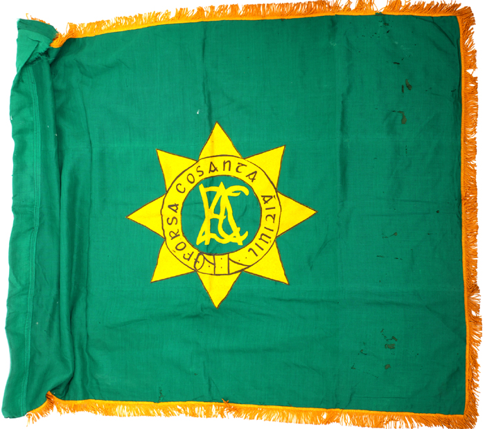 20th century, An Fórsa Cosanta Áitúil banner. at Whyte's Auctions